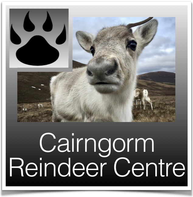 Cairngorm Reindeer Centre