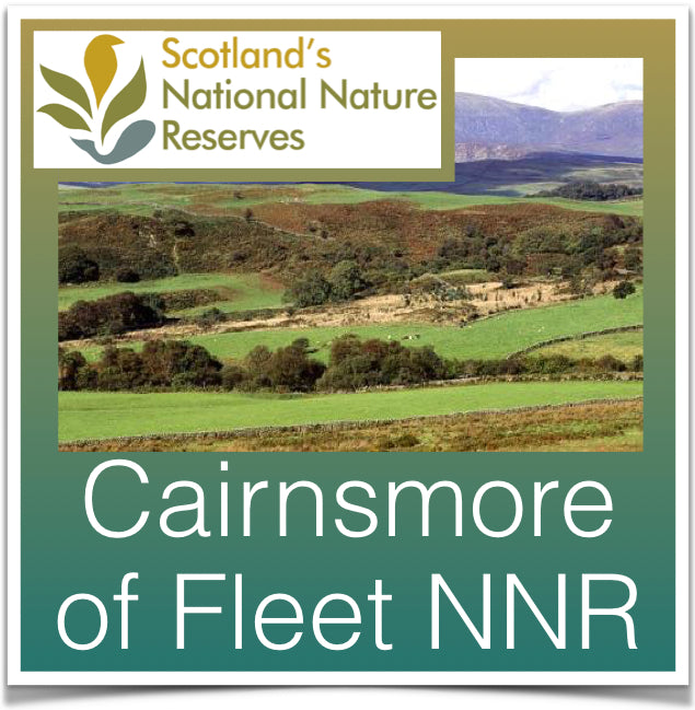 Cairnsmore of Fleet