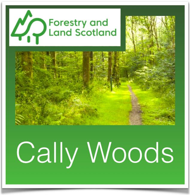 Cally Wood