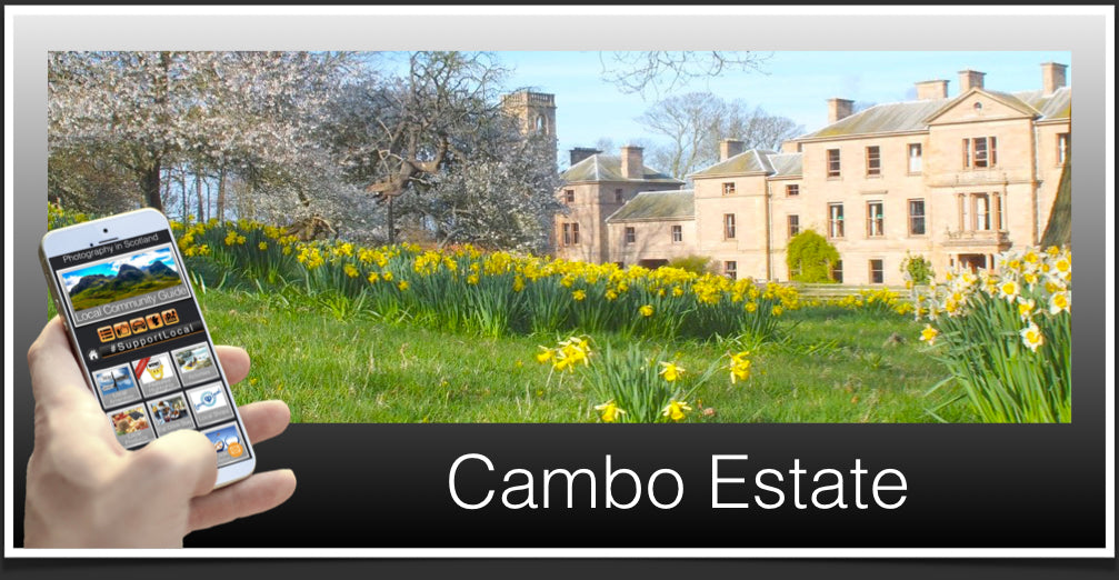 Cambo Estate