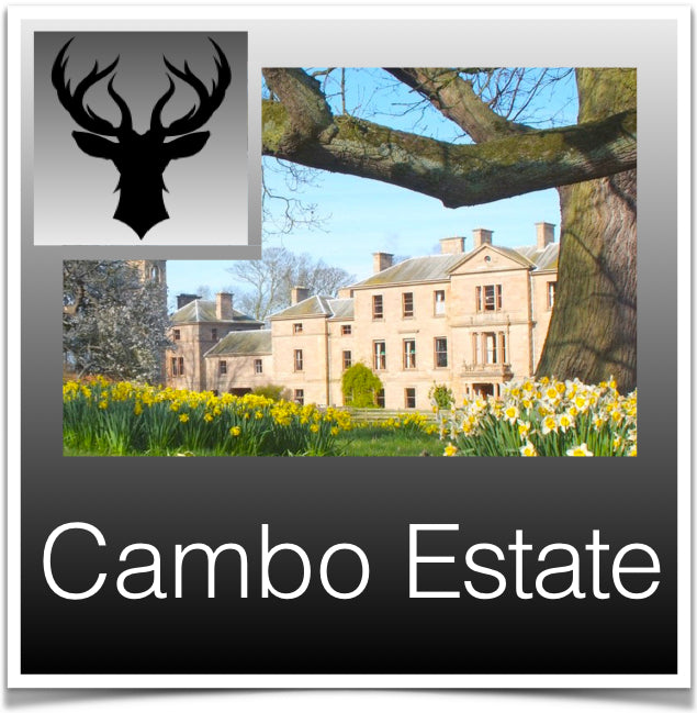 Cambo Country Estate