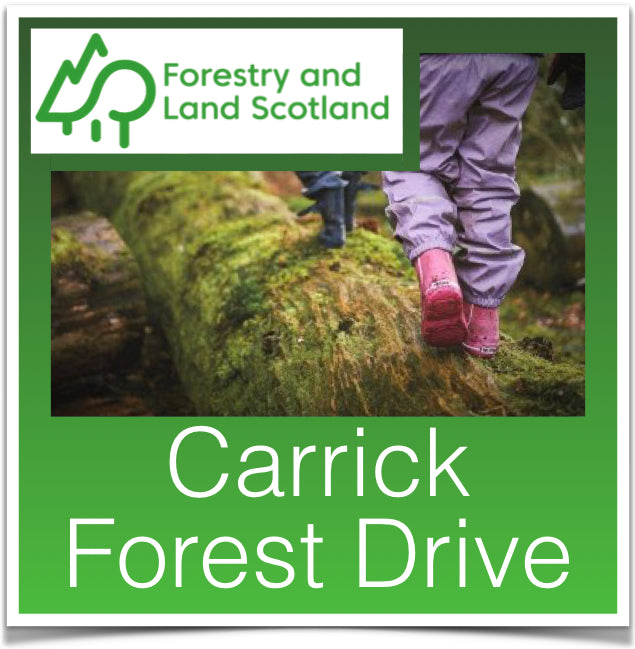 Carrick Forest Drive