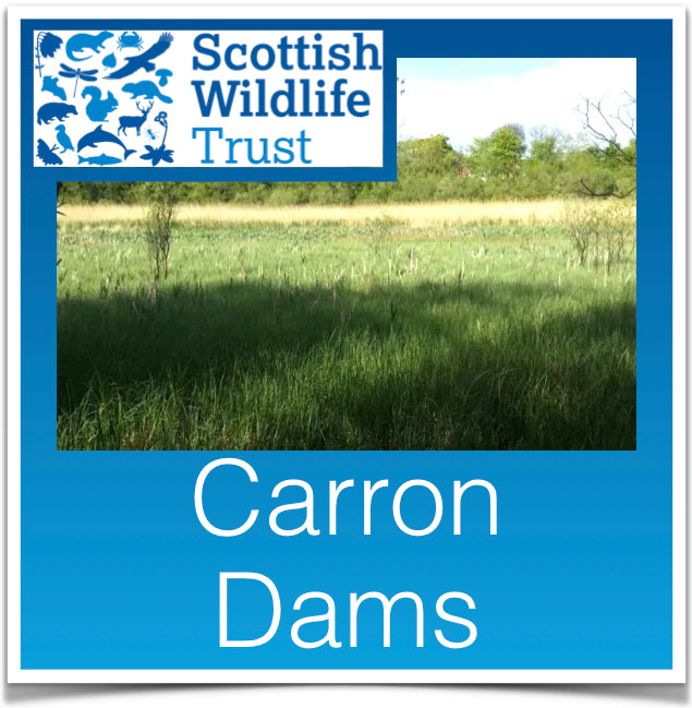 Carron Dams