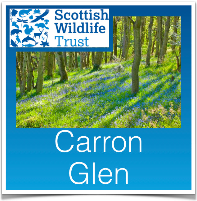 Carron Glen