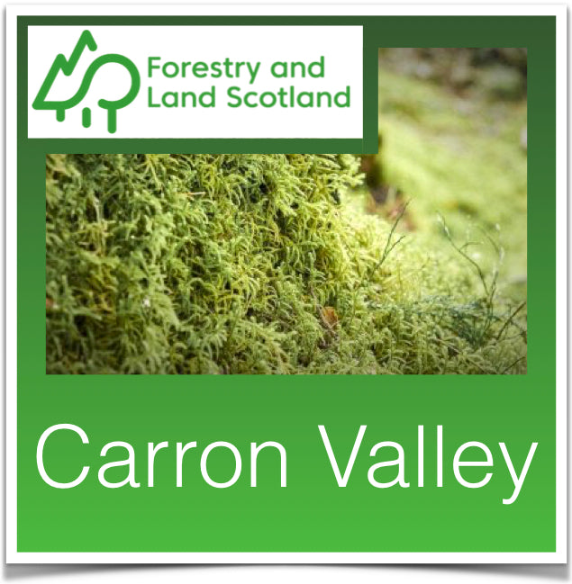 Carron Valley