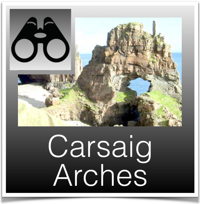 Carsaig Arches