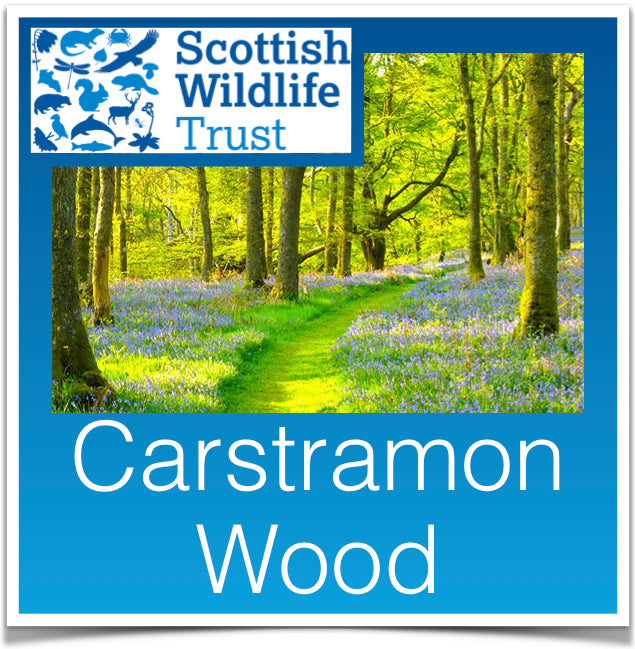 Carstramon Wood