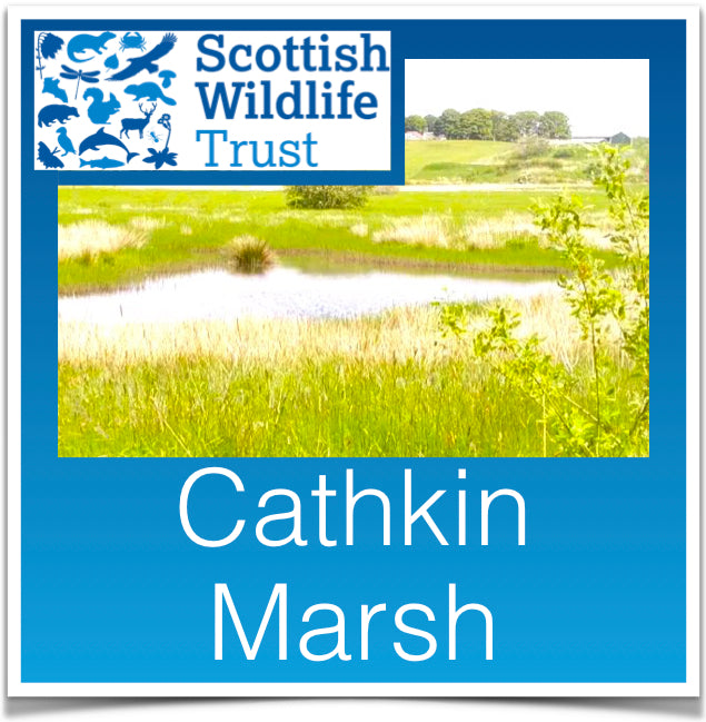 Cathkin Marsh