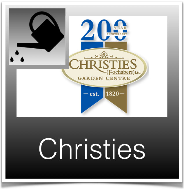 Christies