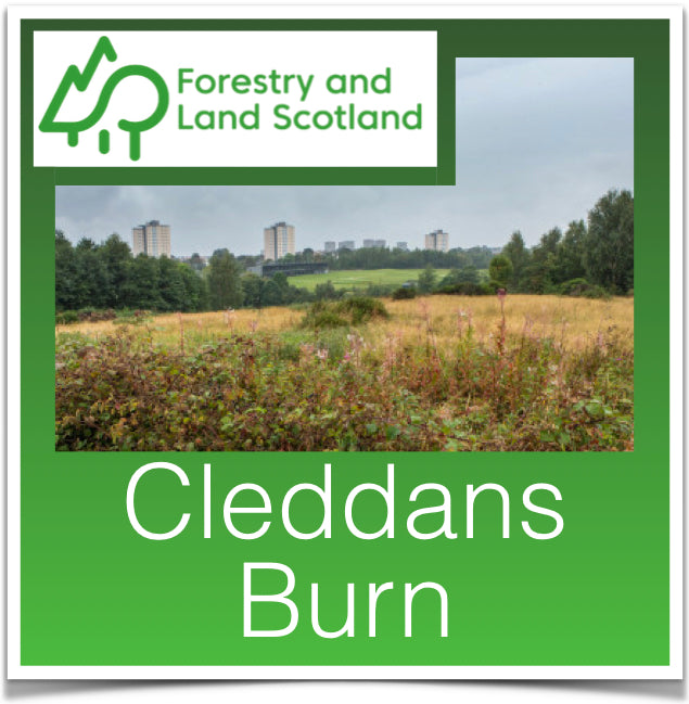 Cleddans Burn