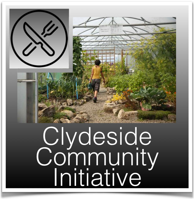 Clydesdale Community Initiative