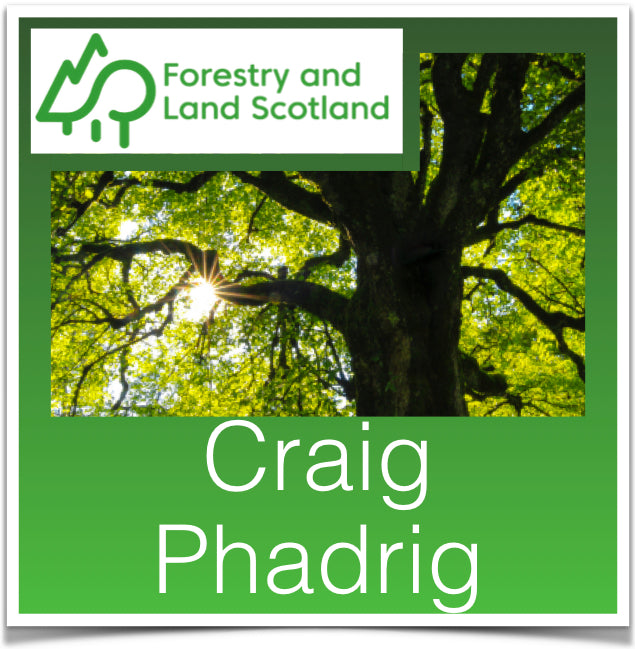 Craigphadrig Forest