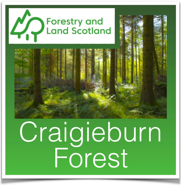 Craigieburn Forest