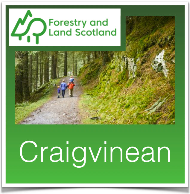 Craigvinean