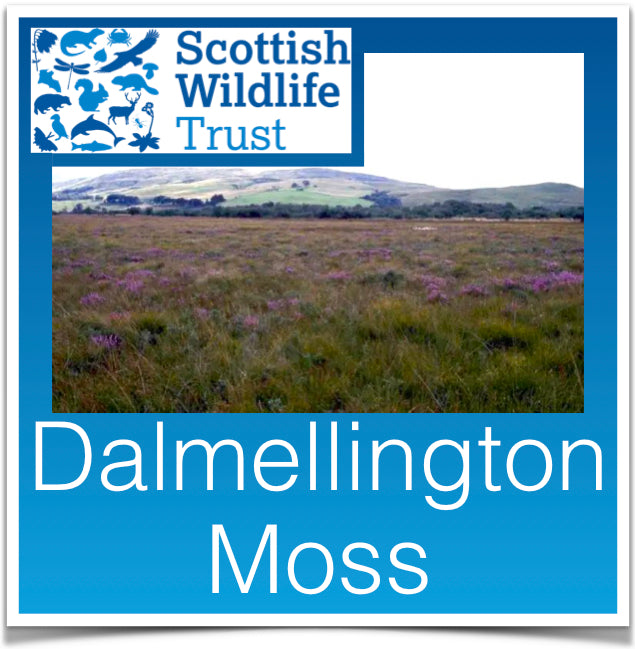 Dalmellington Moss