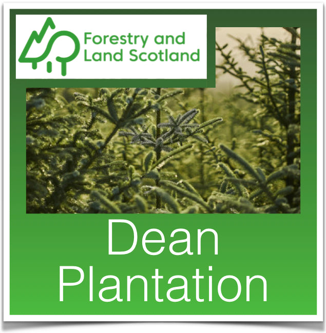 Dean Plantation
