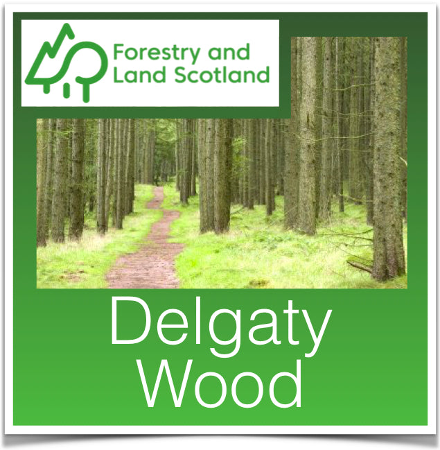 Delgaty Wood