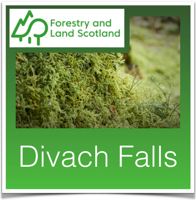 Divach Falls