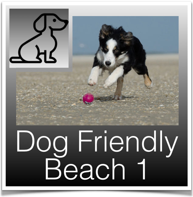 Dog Beaches 1 button