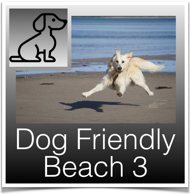 Dog Beaches 3 button