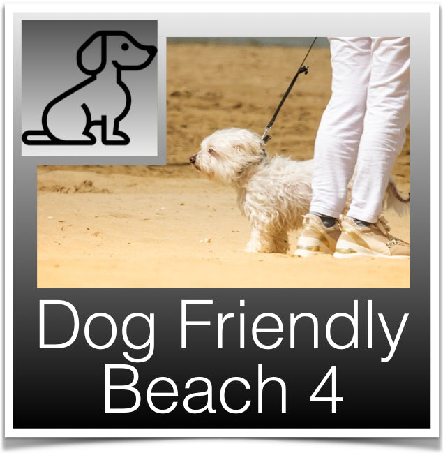 Dog Beaches 4 button