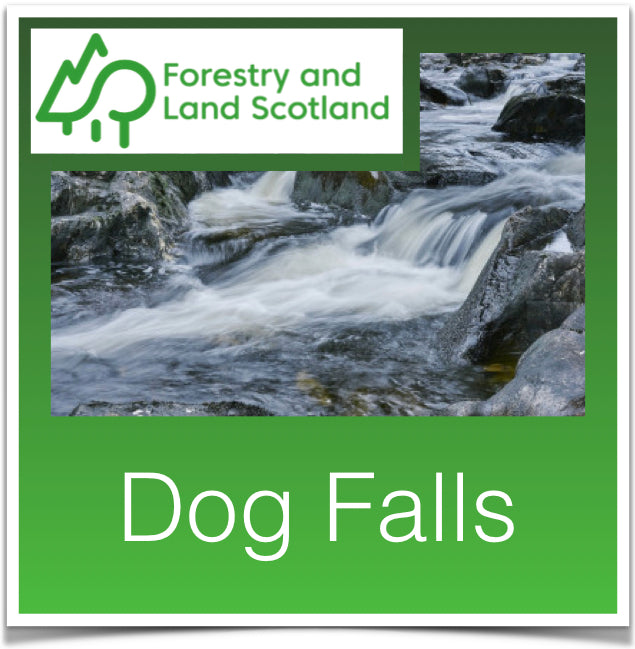 Dog Falls