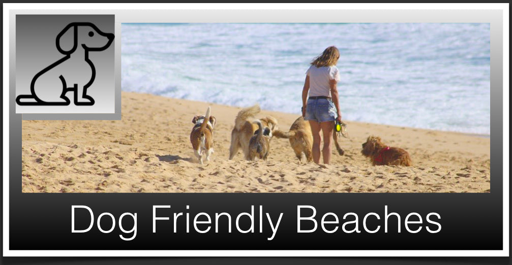 Dog Friendly Beaches header