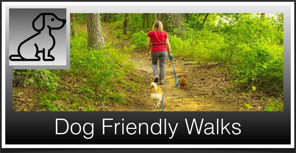 Dog Friendly Walks header