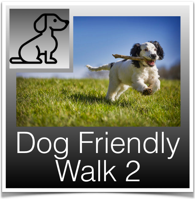 Dog Walk 2 button