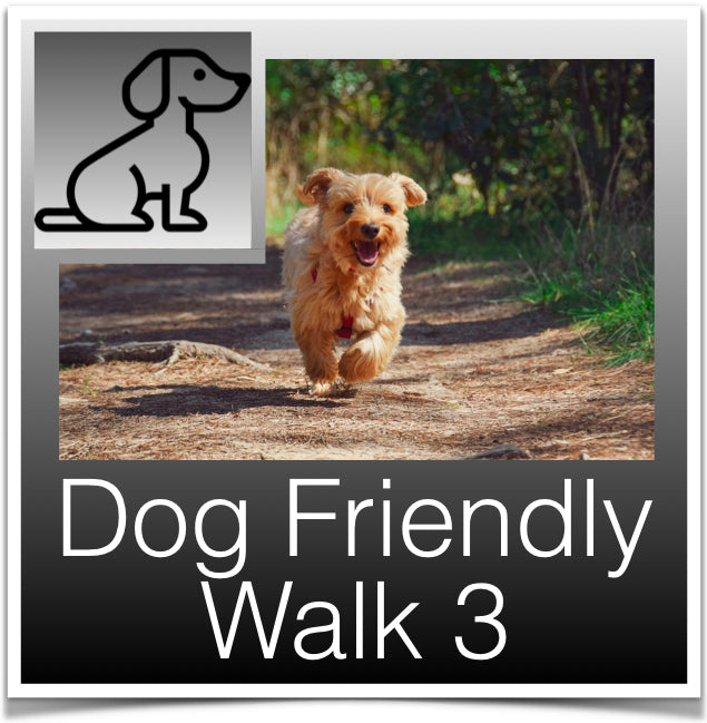 Dog Walk 3 button