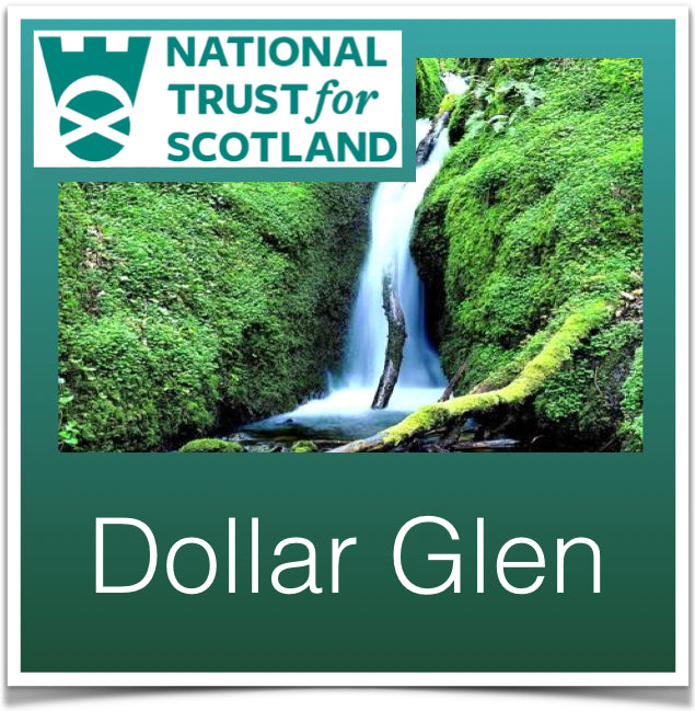 Dollar Glen