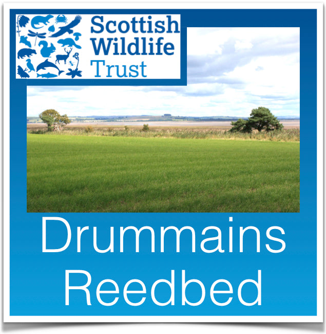 Drummains Redbed