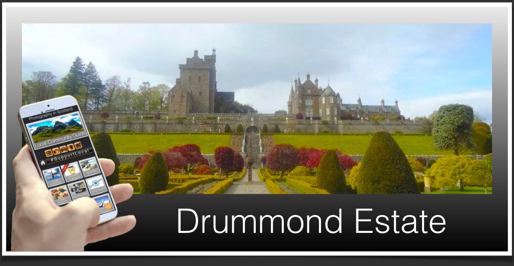 Drummond Estate