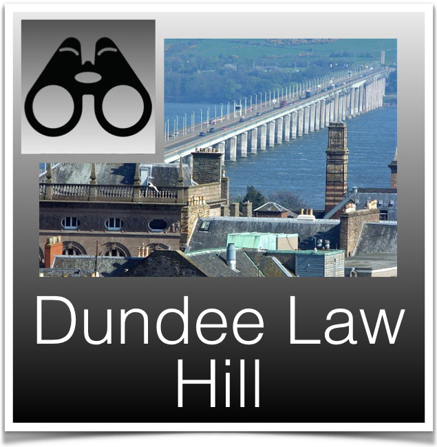 Dundee Law Hill
