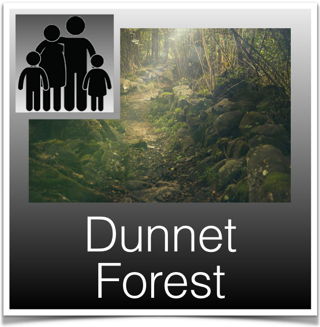 Wheelchair Friendly - Dunnet Forest