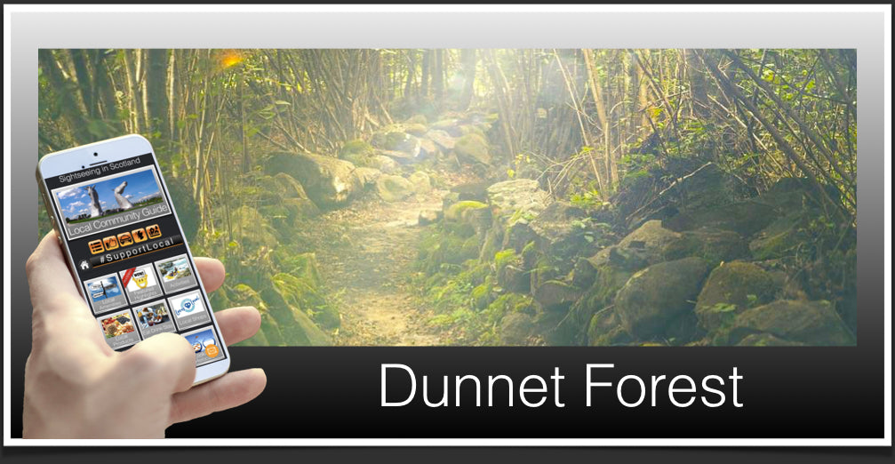 Dunnet Forest Header