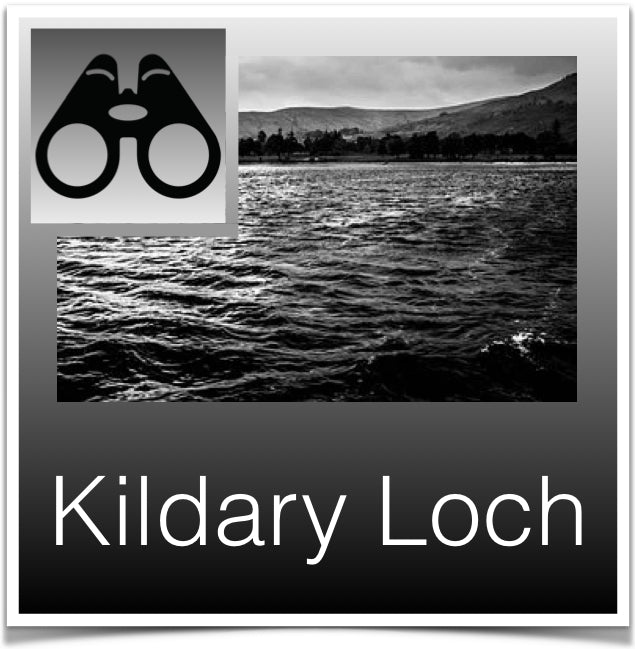 Kildary Loch