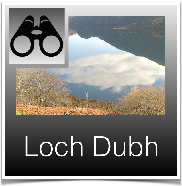 Loch Dubh