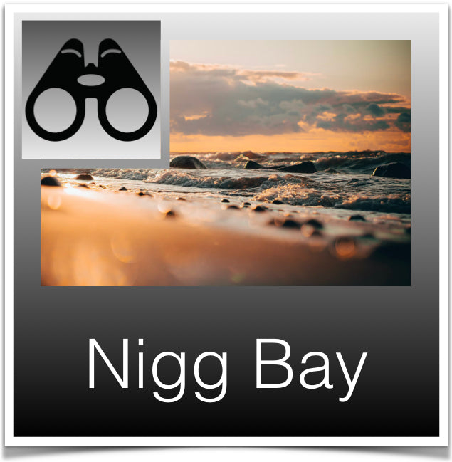 Nigg Bay