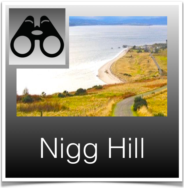 Nigg Hill