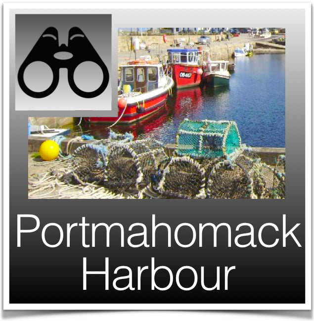 Portmahomack Harbour