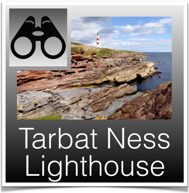 Tarbat Ness Lighthouse