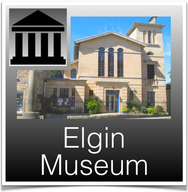 Elgin Museum