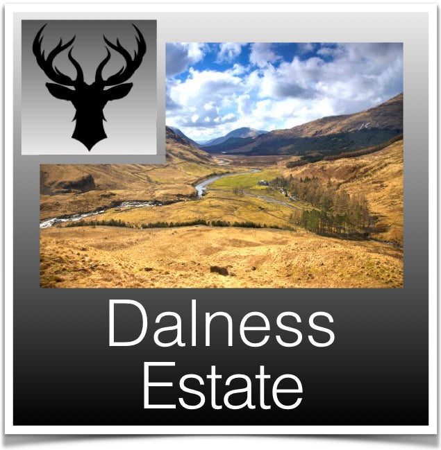 Dalness Estate Image