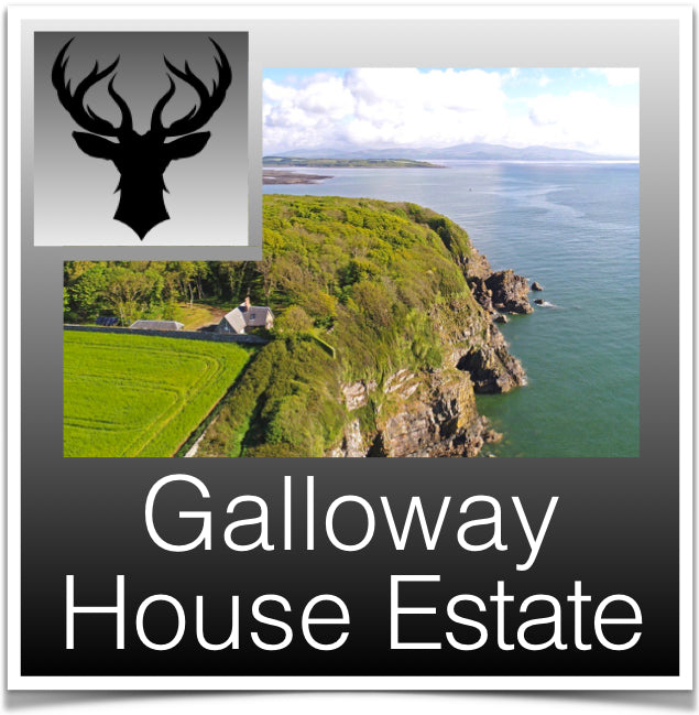 Galloway House Estate