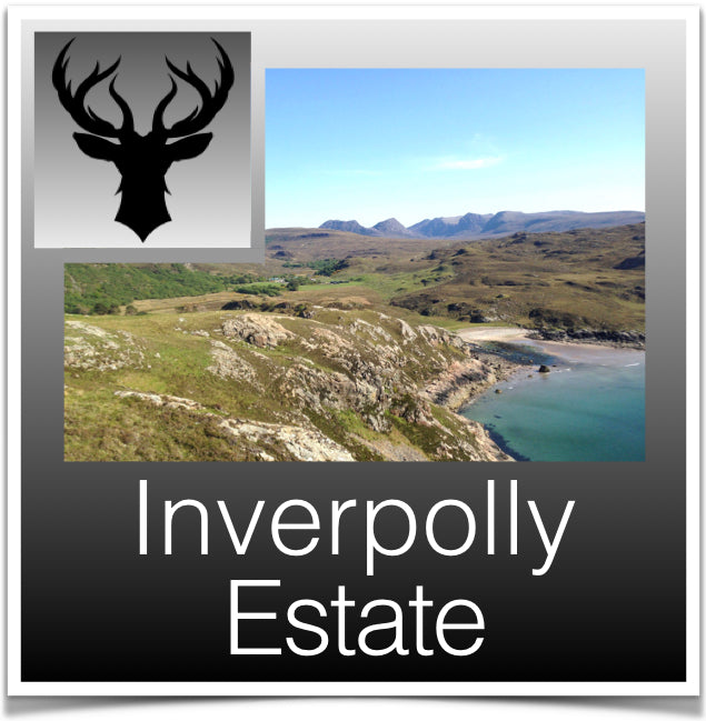 Inverpolly Estate