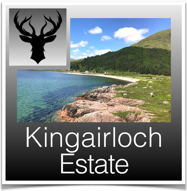 Kingairloch Estate