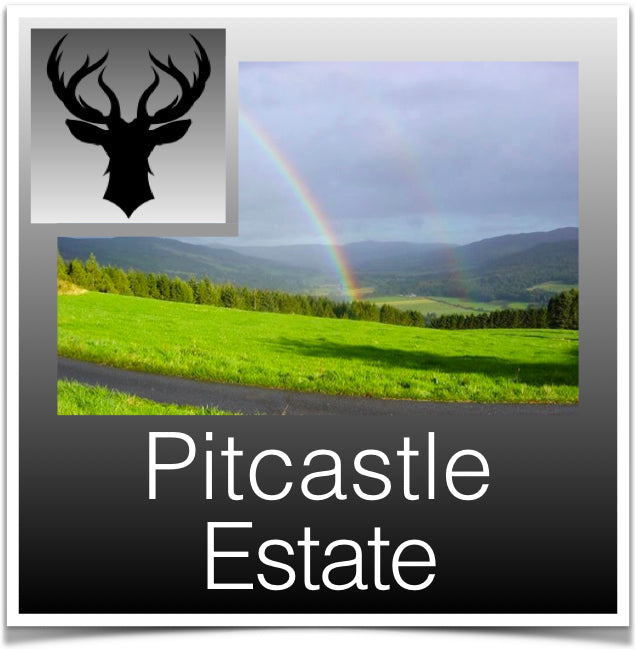 Pitcastle Estate