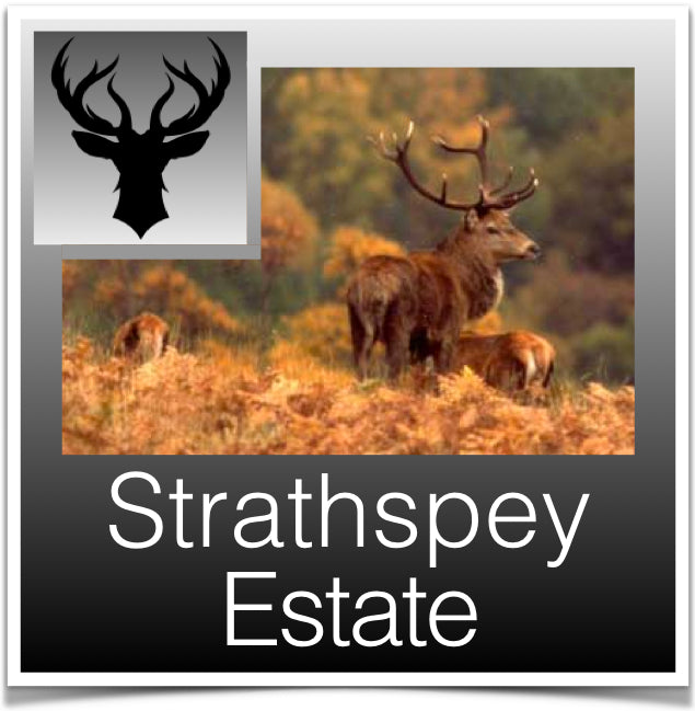 Strathspey estate Image