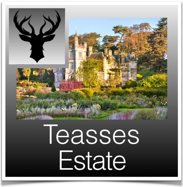 Teasses Estate